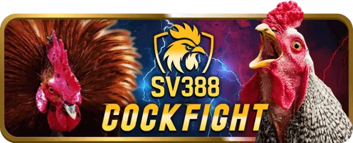 Cá cược bóng đá BO88